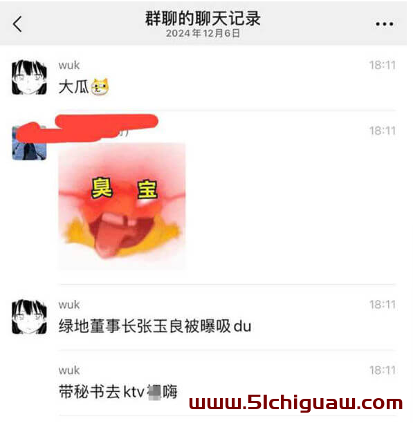 张玉良与绿地集团：谣言止于智者